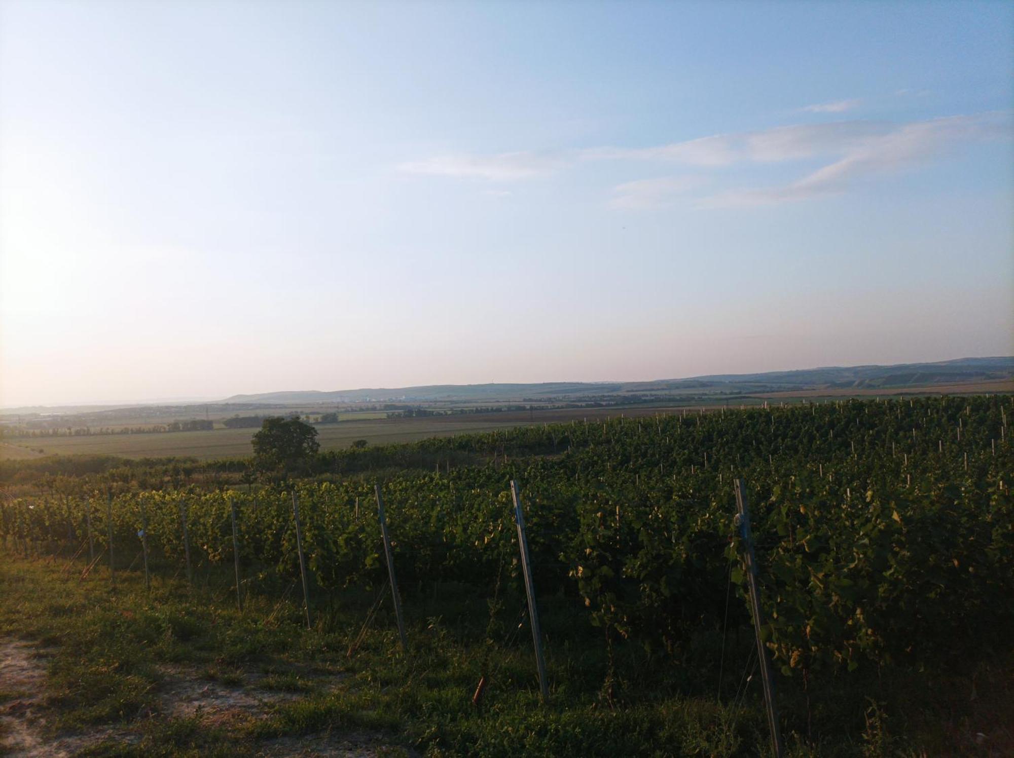 Ubytovani U Leose Zaječí Esterno foto