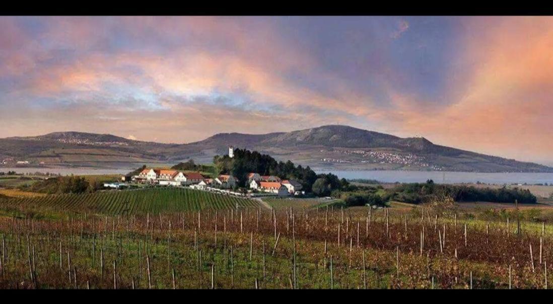 Ubytovani U Leose Zaječí Esterno foto